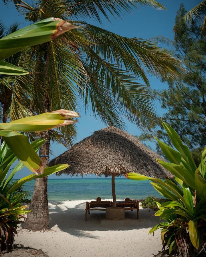 Xanadu Luxury Villas & Retreat Zanzibar Bwejuu Exteriör bild